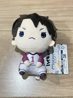 ハイキュー!! もちぴこ ぬいぐるみ 牛島 ②