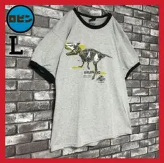 ゆらゆら帝国 空洞ですTシャツ グレー - メルカリ