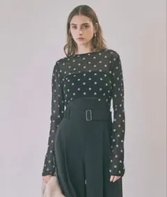 新品❤️HYEONヘヨンシアークルートップスフラワー 2026年最新】hyeon sheer tops 
