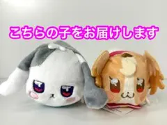 わんだふるぷりきゅあ プリプリおてだま 大福 こむぎ セット b