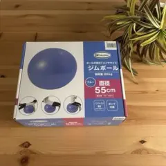 Item thumbnail for item 5515f60b-39b5-428c-b8cc-2614dd5894d8