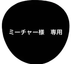 ミーチャー様　専用