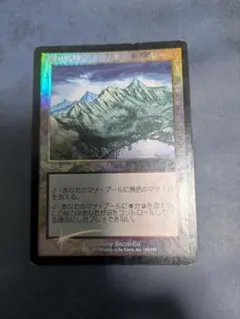 東京MTGのArtist Meetup Foil版オリジナルトークン20種 東京MTG Artist Meetup Foil版オリジナルトークン20種 - メルカリ