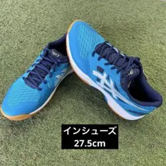 アシックス海外限定モデル ハンドボールシューズ ゲルドメイン27.0 