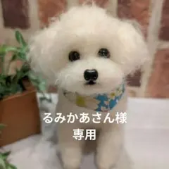 白トイプードル♡のサムネイル