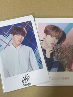 Stray Kids チャンビン　トレカ