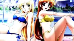 魔法少女リリカルなのは けいおん！ 水着両面ピンナップポスター メガミマガジン