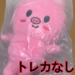 チャンビン　バックパック　リュックサック　トレカなし　6期　ペンミ　スキズ