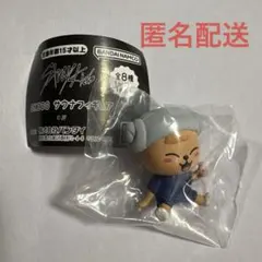 Stray Kids SKZOO スキズ　サウナフィギュア　ハピーム　スンミン