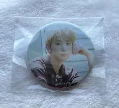 &TEAM HARUA 缶バッジ