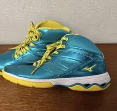 Item thumbnail for item b669bd94-7c48-4234-a70b-34980dc1fe7f