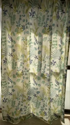 カーテン100×178