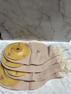 Item thumbnail for item 129043c5-8029-445f-8f07-2009426e186a