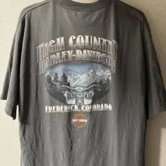 希少　HARLEY DAVIDSON　バイクTシャツ