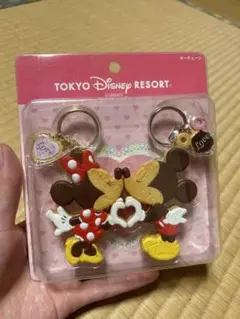 値下げ中　ラスト1点　早い者勝ち　✴︎東京ディズニーリゾート お揃いキーホルダー✴︎