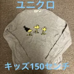 ユニクロ　キッズ　PEANUTS 150センチ　グレー