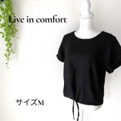 Item thumbnail for item 89b6b39f-36d7-4c50-95f1-cb74c454c954