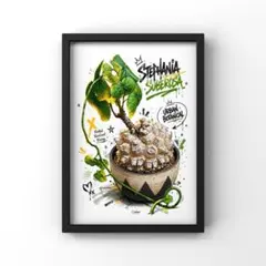 491 亀甲竜　塊根植物　ボタニカルライフ　イラスト　ポスターのサムネイル