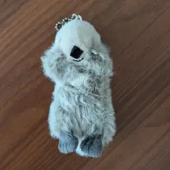 ニトリデコホーム　ラッコ　ぬいぐるみ　マスコット