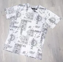 Item thumbnail for item a6ddfbc6-e83d-4cae-aeef-9b7bf943a3a8