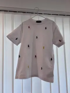 Polo Ralph Lauren マルチカラー刺繍 Tシャツ S/P