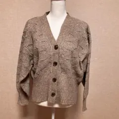 透かし編みニットカーディガン Vネック ブラウン系 フリーサイズ