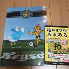 柏レイソルあるある　本　クリアファイル