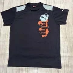 PUMA ネイビー Tシャツ