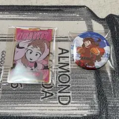 ヒロアカ　ジャンフェス　TOHO　十傑　缶バッジ　ステータスカードコレクション