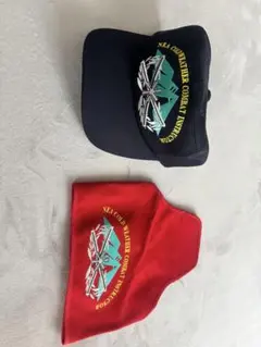 ☆アメリカ軍＊CAP/民間航空パトロール＊スチュワーデス章（実物