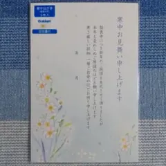 寒中はがき ５枚セット