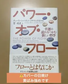 パワー・オブ・フロー : 幸運の流れをつかむ新しい哲学