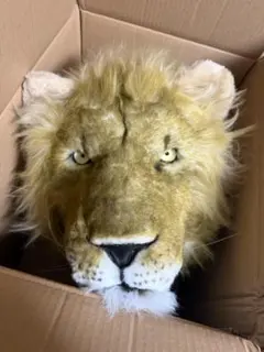 Item thumbnail for item 3d6d9e59-91e1-4113-a549-eefe2358013d