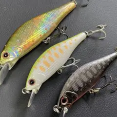 ⑤アレキサンドラ 63S ×1、50S ×2 計3個セット パームスのサムネイル