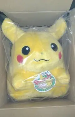 ポケットモンスター ポケモン30周年記念 おかえり!ピカチュウ1/1 ピカチュウ