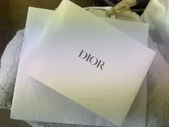 Dior 新品　エナメルレッドポーチ　ノベルティ　非売品