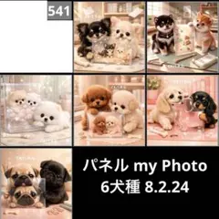 オーダーページ パネル my Photo 6犬種 8.2.24