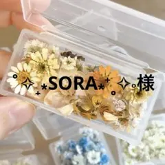 ˚✧₊⁎SORA⁎⁺˳✧༚様 リクエスト 4点 まとめ商品