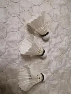 Item thumbnail for item cea18f93-67b7-46b8-b076-a097052e2eca