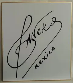 Item thumbnail for item 7f8232c5-6221-466f-9264-2068e686f86b