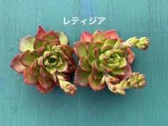 まーる様 リクエスト 3点 まとめ商品