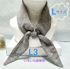 いそいち様 リクエスト 2点 まとめ商品