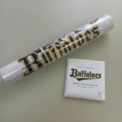 Item thumbnail for item 6071d36d-51ac-4de7-a6ba-5d29da2204f0