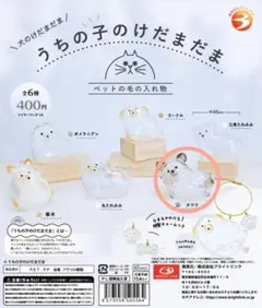うちの子のけだまだま 犬のけだまだま　チワワ　①