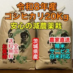 新米コシヒカリ20kg茨城県産◉精米サービス(白米)