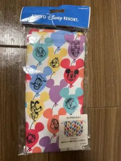 Item thumbnail for item 47246c64-1f6a-4a77-8ebc-6b2534bc8aad