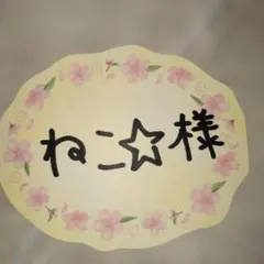 ねこ☆様 リクエスト 2点 まとめ商品