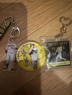 Item thumbnail for item 891fc783-3496-4f82-b38e-1db47adb4ff3