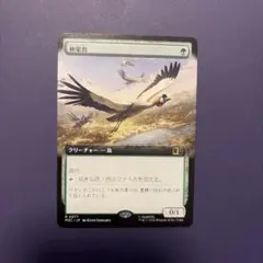 2026年最新】極楽鳥 mtgの人気アイテム - メルカリ