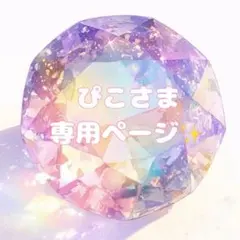 【ぴこさま✨専用】 おまとめページ♥️